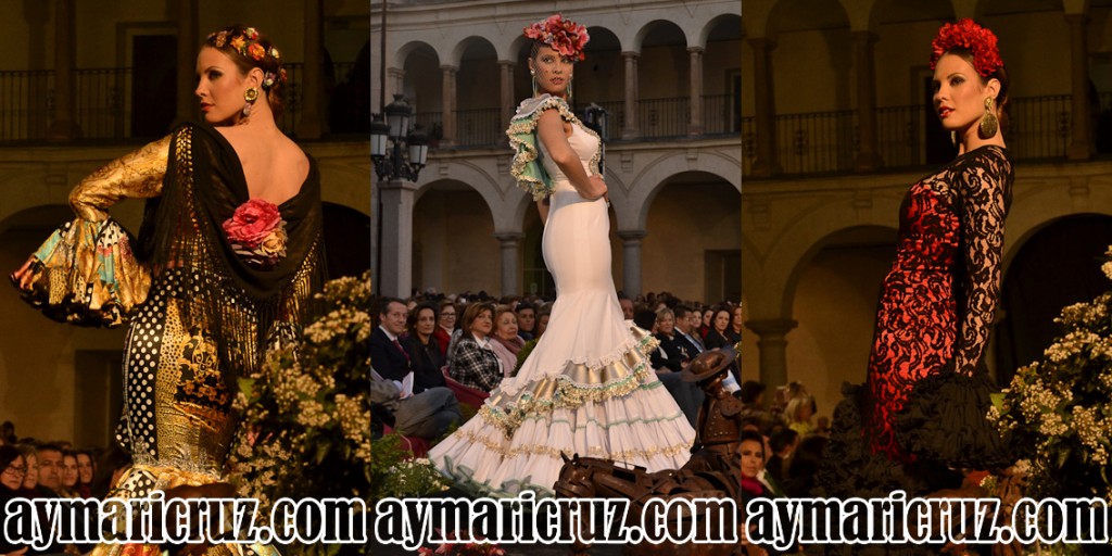 Andújar Flamenca 2015 Sábado (14)
