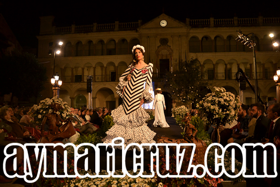 Viernes Andújar Flamenca 2015 26