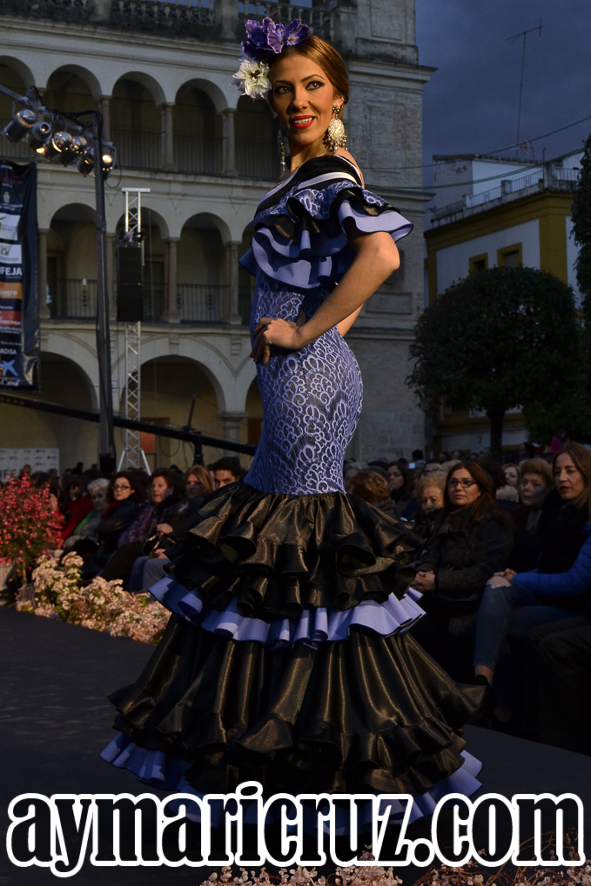 Sábado Andújar Flamenca 2016 17