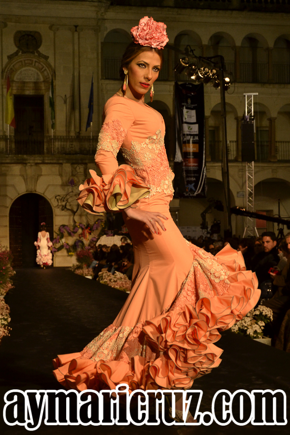 Sábado Andújar Flamenca 2016 25