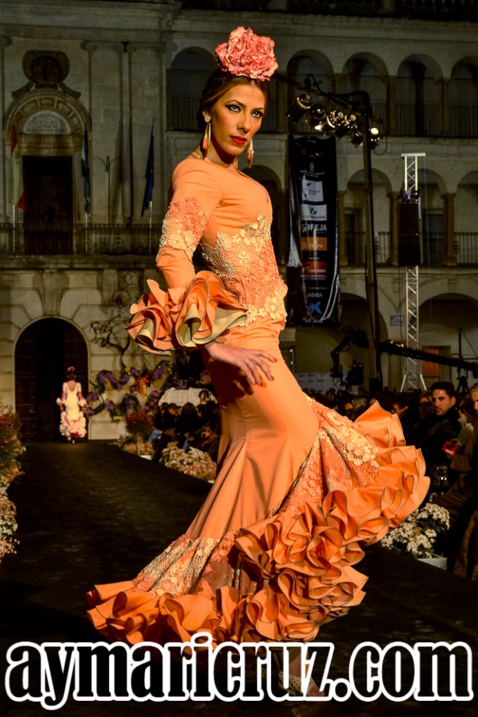Andujar Flamenca 2016 Repaso Sábado (19)