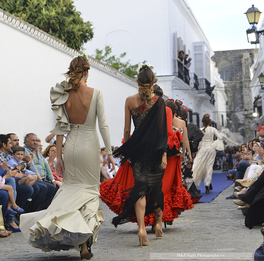 Vejer Flamenco en imágenes