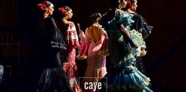 Andújar Flamenca 2017 36